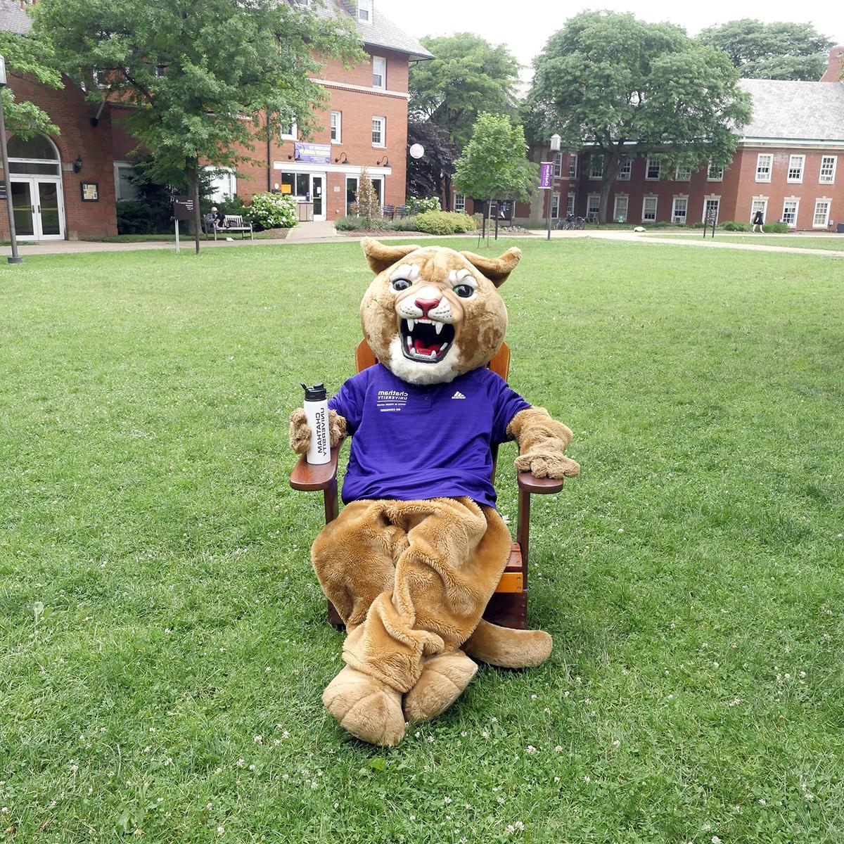 美洲狮吉祥物卡森坐在阴凉校园的椅子上的照片