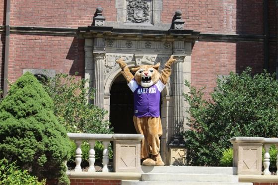 网上赌博平台吉祥物照片, 卡森美洲狮, 在荫边校园的红砖建筑前摆姿势
