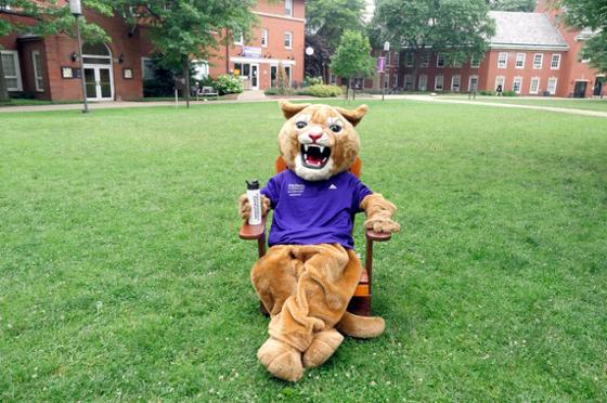 图为网上赌博平台吉祥物美洲狮卡森坐在阴凉校园的椅子上